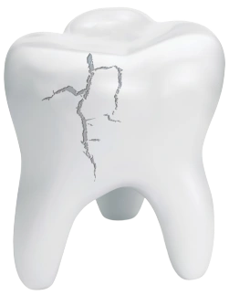 dentistry Image